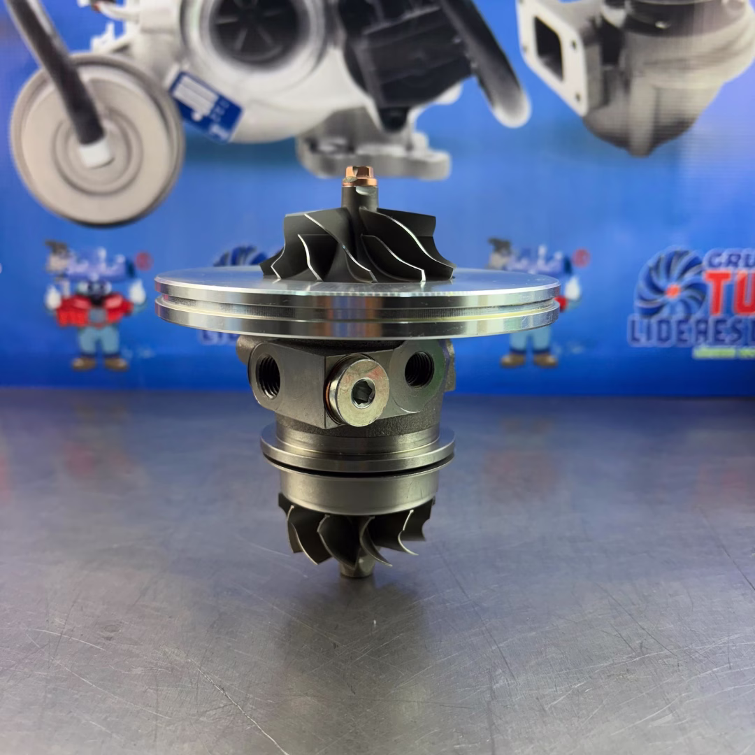 Cartucho para Audi TT RS 2.5L R5/ B03G/ TLM B03-001